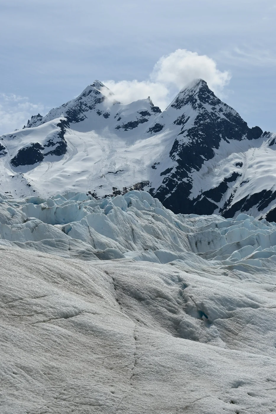 Gletsjer en besneeuwde bergen bij Juneau in Alaska