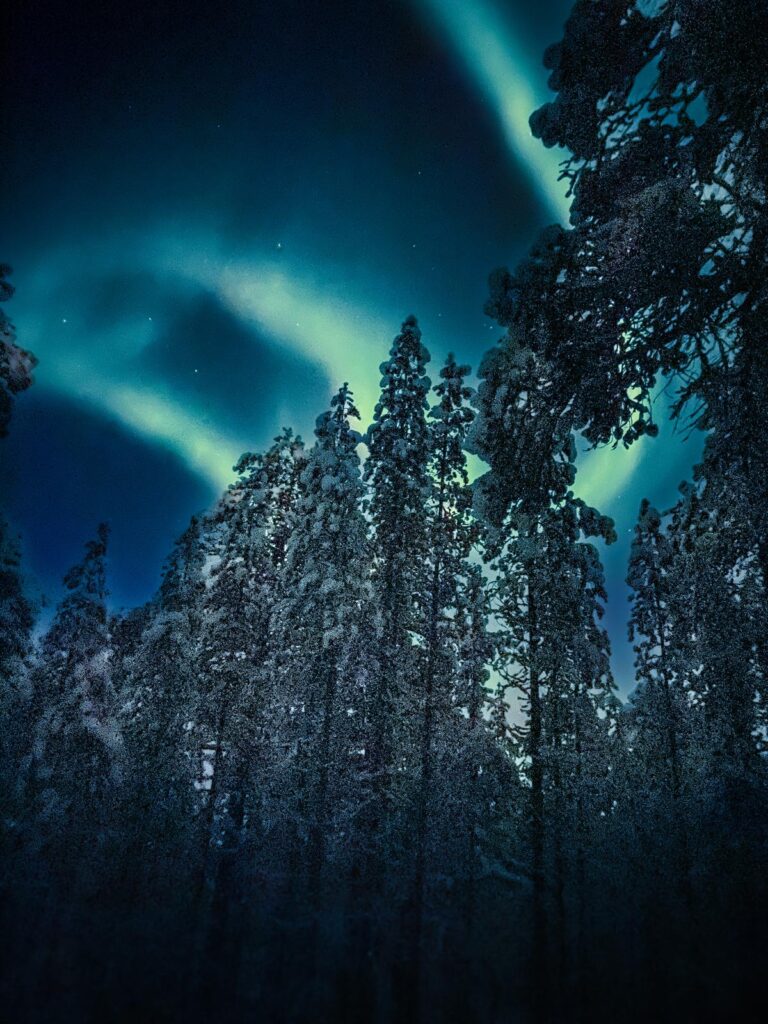 noorderlicht in het bos in finland in Inari