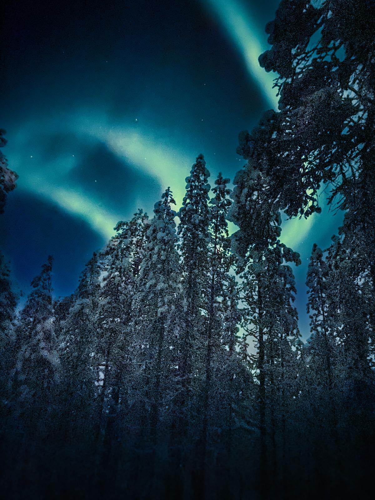 Noorderlicht-in-finland-in-bos noorderlicht in finland in Inari in het bos