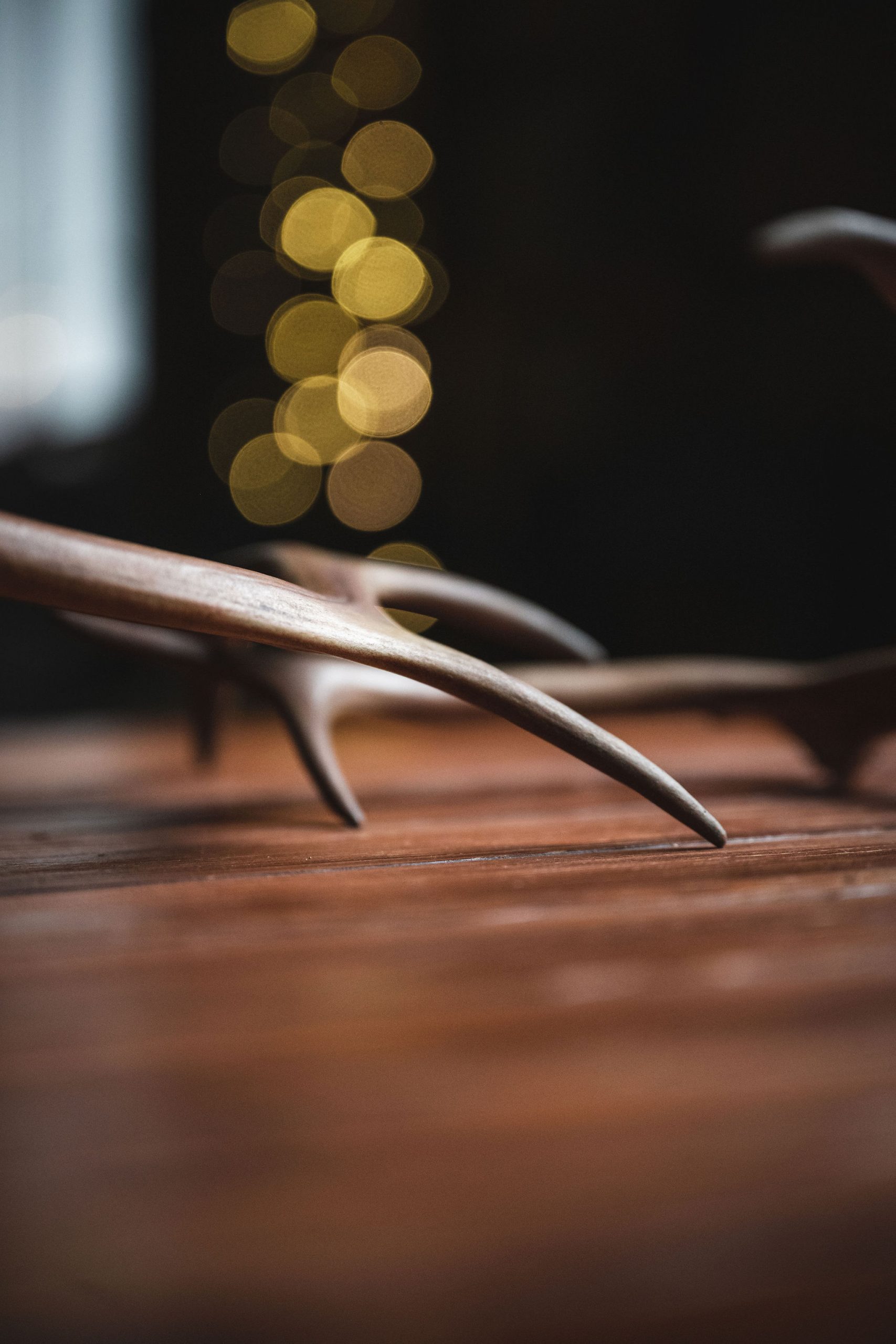 sfeerbeeld van ajakka