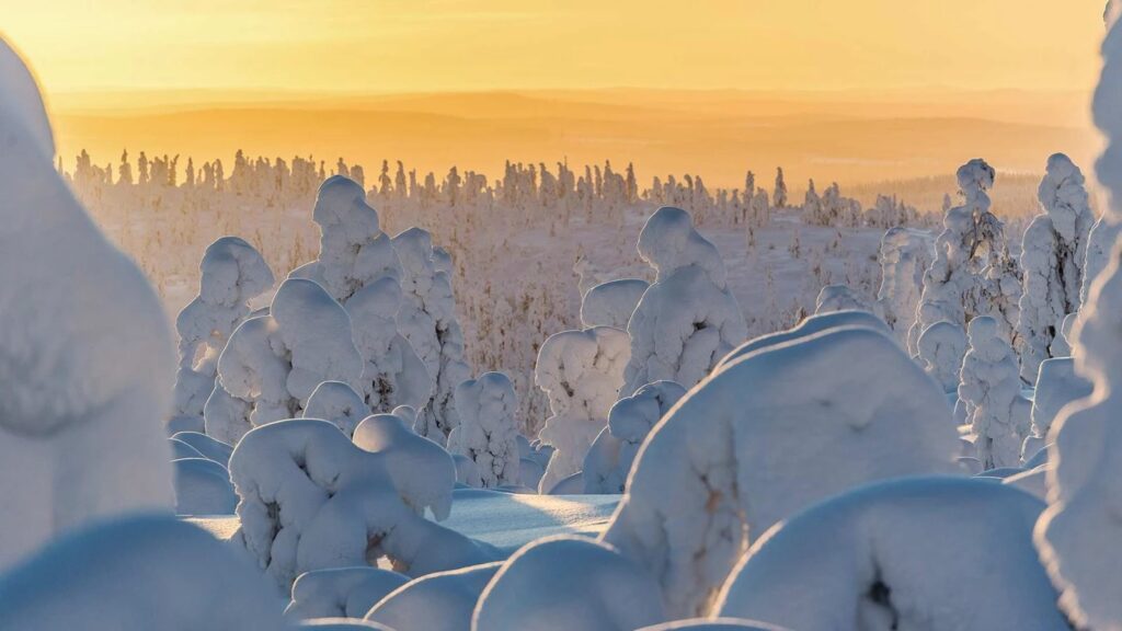Winters landschap bij Inari in januari