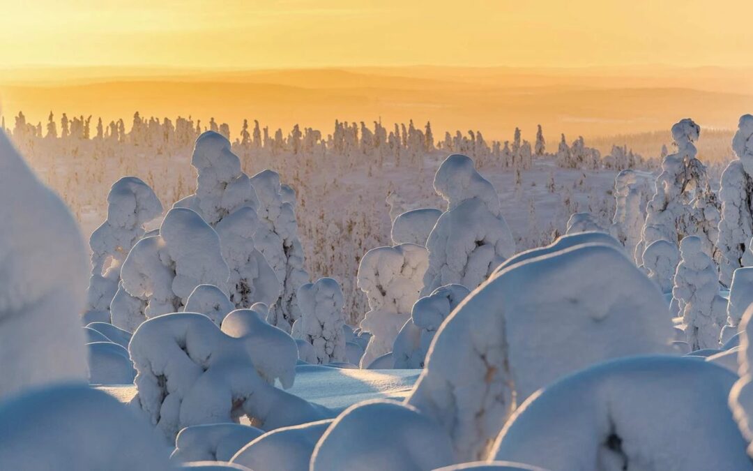 Hoe koud wordt het in Lapland in januari