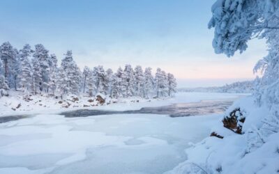 Winterrondreis door Finland