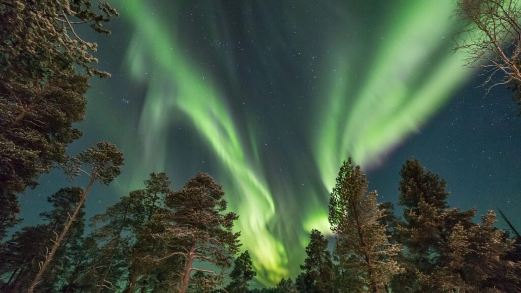 Noorderlicht bij Juutua in Inari
