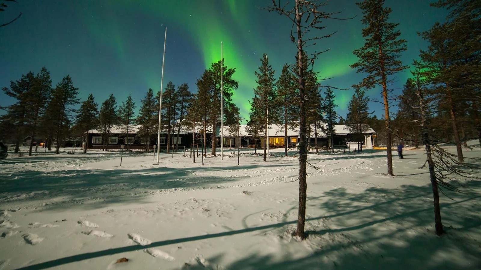 Sneeuwavontuur Muotka - Afbeelding 22