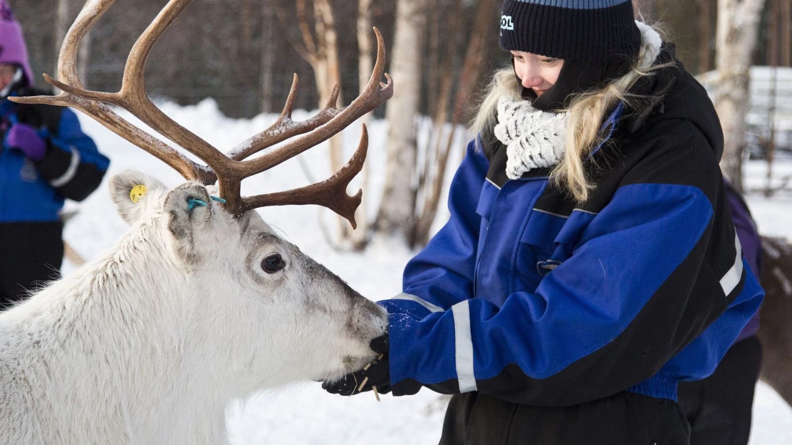 Sneeuwavontuur Muotka - Afbeelding 24