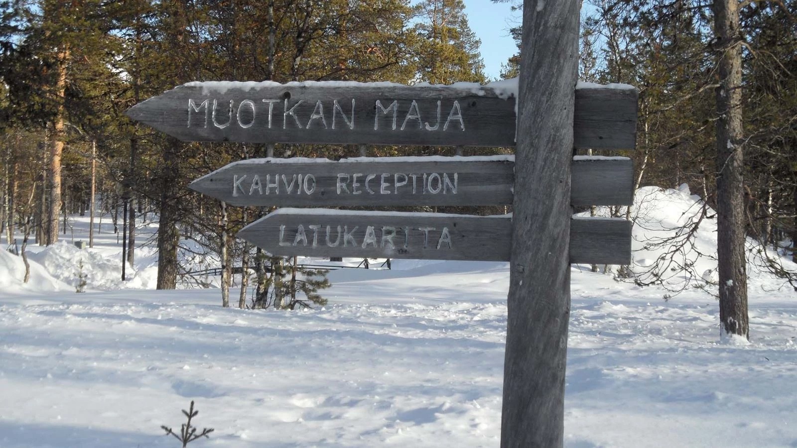 Sneeuwavontuur Muotka - Afbeelding 18