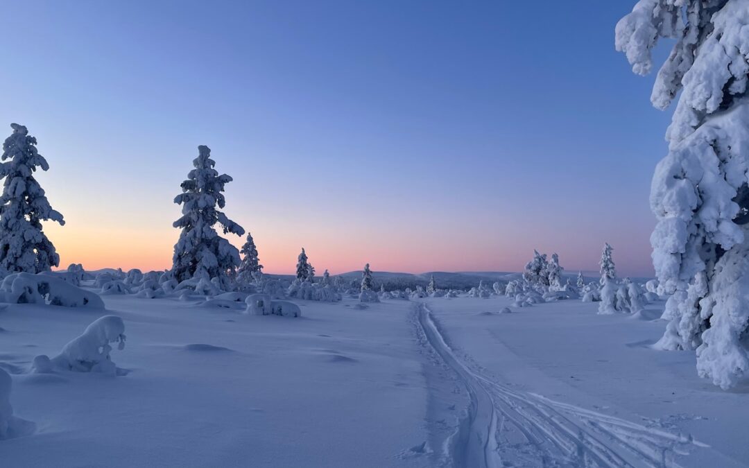 Geen noorderlicht gezien, wat nu, slimme alternatieven