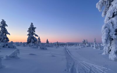 Geen noorderlicht gezien, wat nu, slimme alternatieven