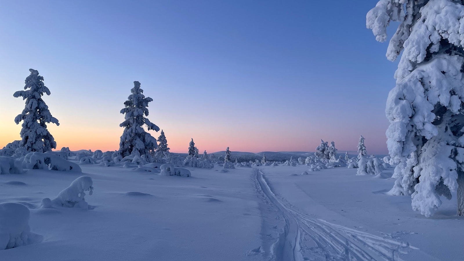 sneeuwlandschap in de winter in finland (lapland)