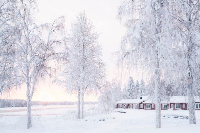 Winteractiviteit tijdens Kukkolaforsen Lodge