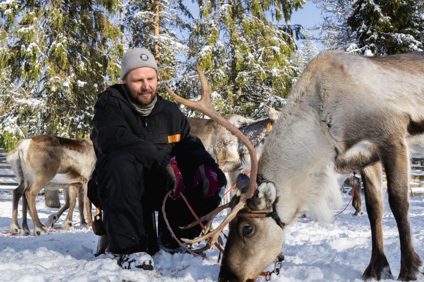 Omgeving van Midweek Salla Wilderness Lodges