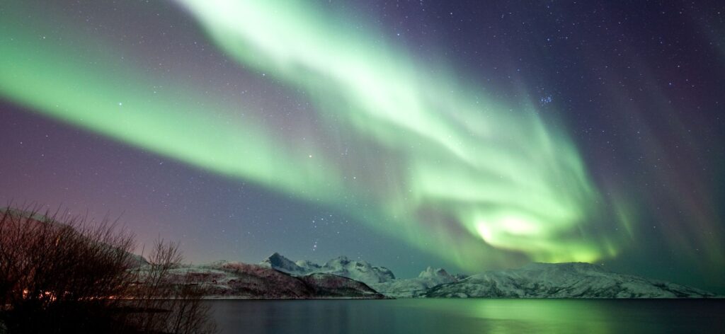 Winterlandschap tijdens Noorderlichtreis Lapland, Lofoten en Hurtigruten