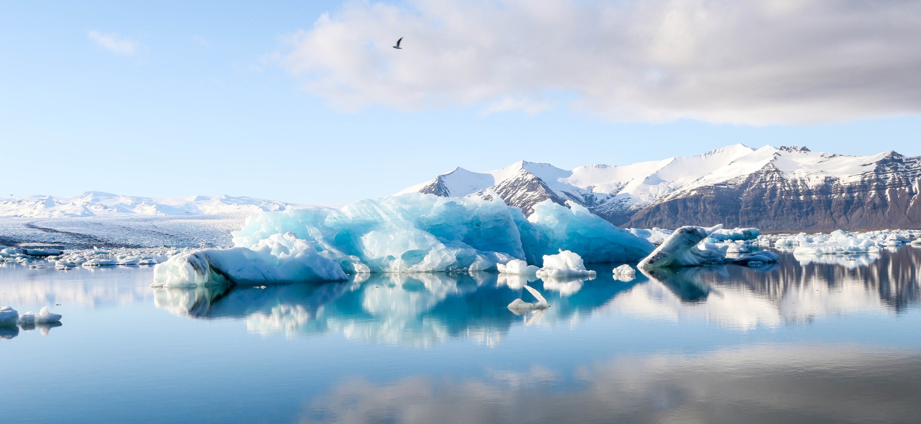 Winterlandschap tijdens Parels aan de IJslandse kust