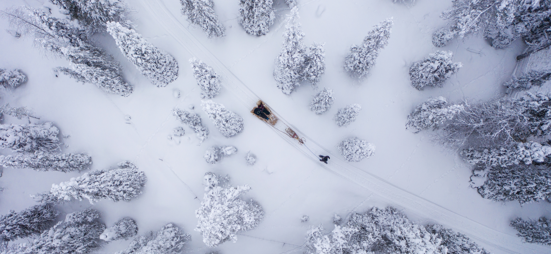 Winterlandschap tijdens Sneeuwavontuur Suomutunturi