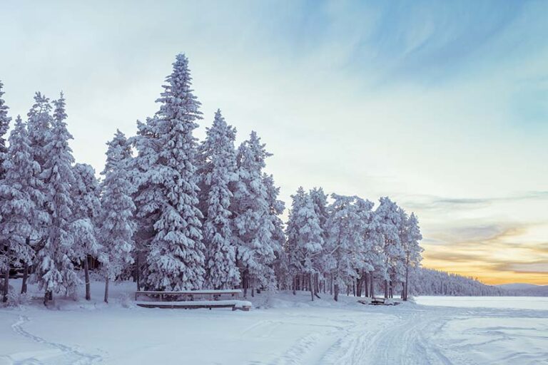 Omgeving van Sneeuwavontuur Torassieppi