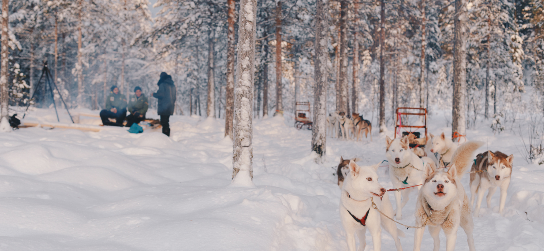 Winterlandschap tijdens Weekend Granö Beckasin Lodge