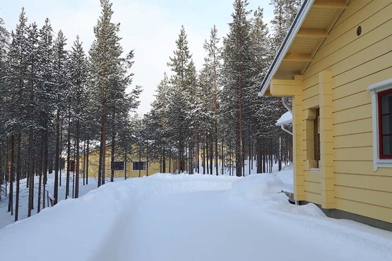 Sfeerbeeld van Winterwonderland week PAN Village Oulanka bungalows