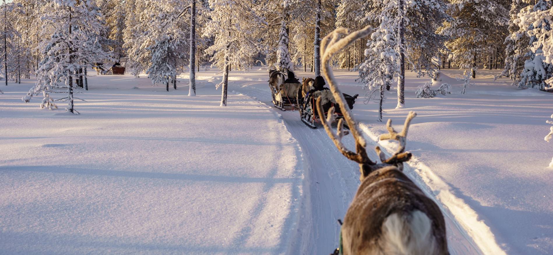 Winterlandschap tijdens Winterwonderland week Salla