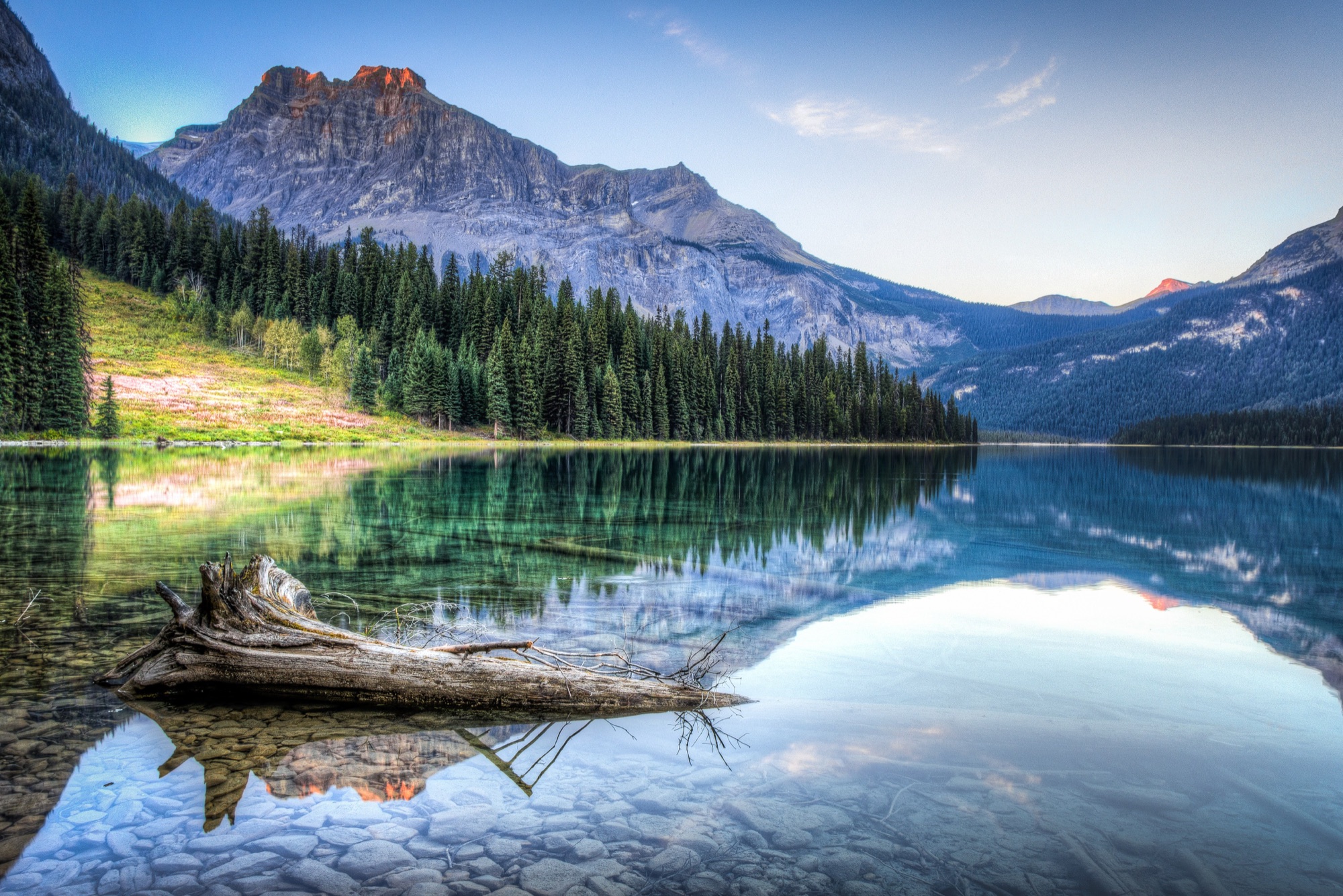 Bergen en naaldbossen weerspiegelen in een helder meer in Yoho National Park
