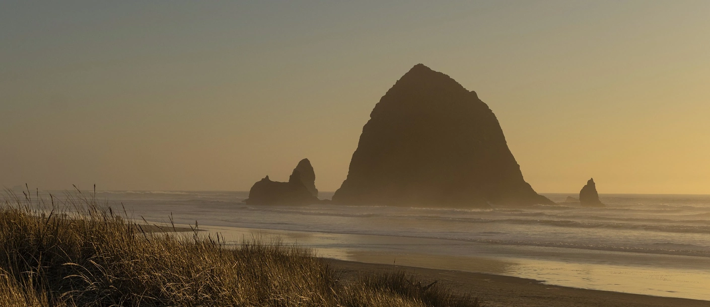 Rotsen voor de kust van Oregon in warm avondlicht, gezien vanaf de duinen