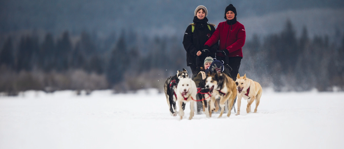 Sledehonden trekken een slee met reizigers door een besneeuwd landschap